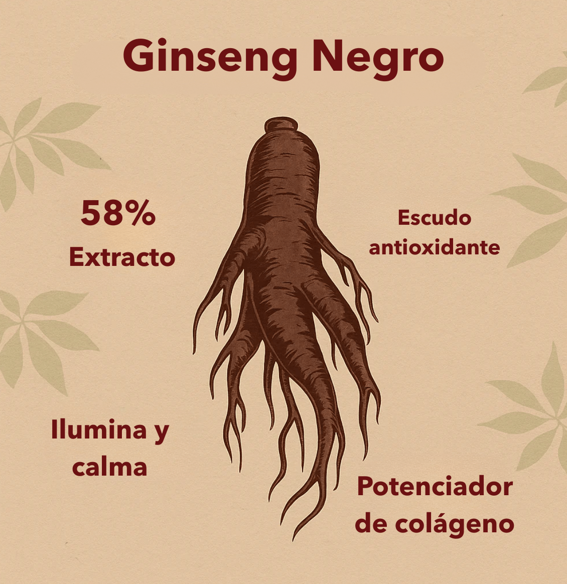 SEOUL 1988 Sérum | Retinal Liposomado 2% + Ginseng Negro - Seoul Glow