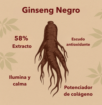 SEOUL 1988 Sérum | Retinal Liposomado 2% + Ginseng Negro - Seoul Glow